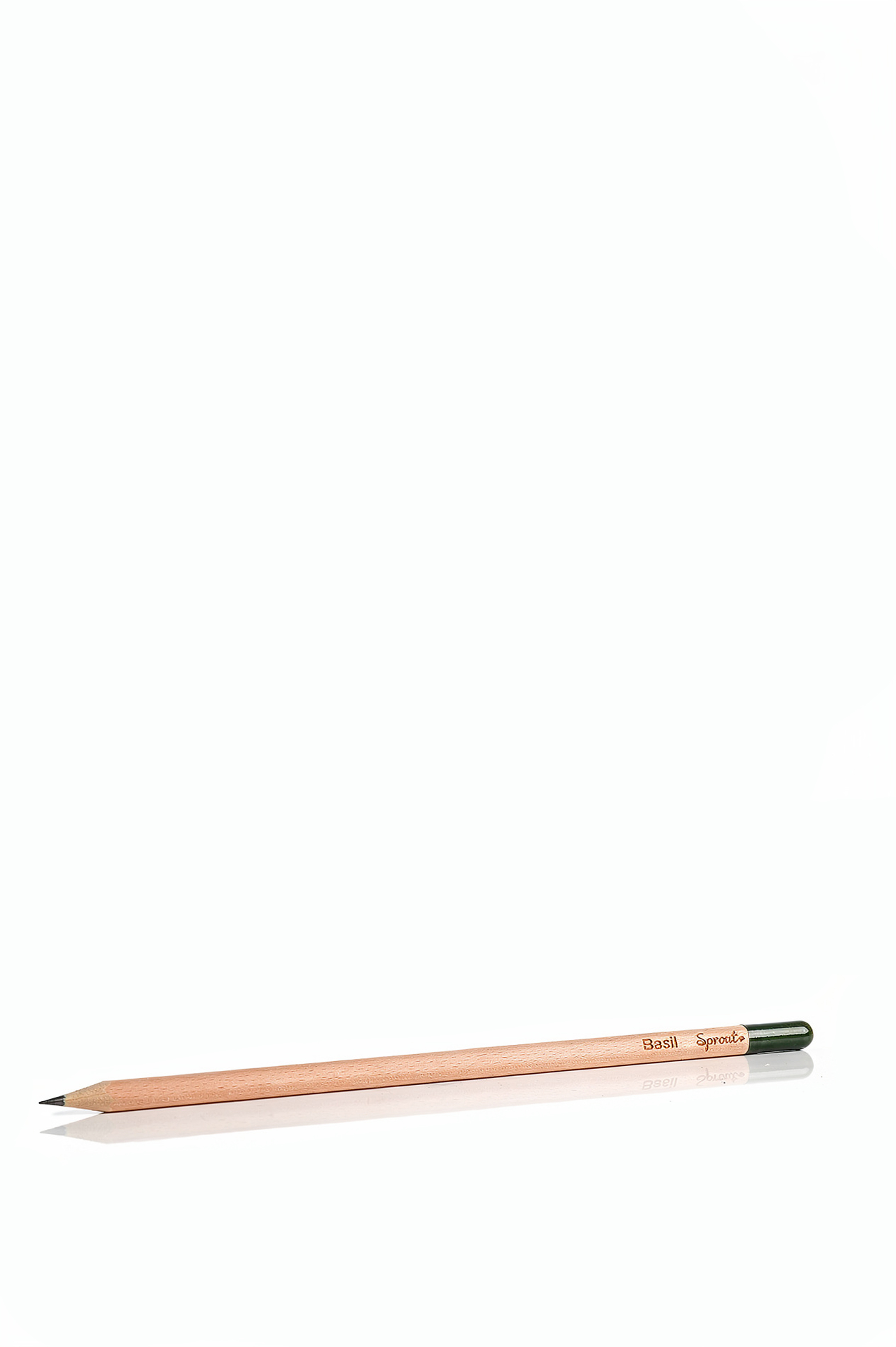Bleistift - Ein Stift der wächst